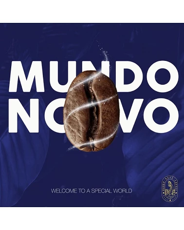 Specialty Coffee Pack Mundo Novo - Cafe Gourmet