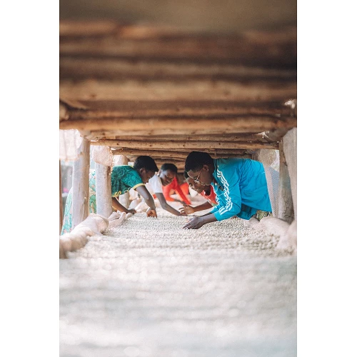 Specialty coffee from Burundi - Kanyiya Hill - Cafe Gourmet