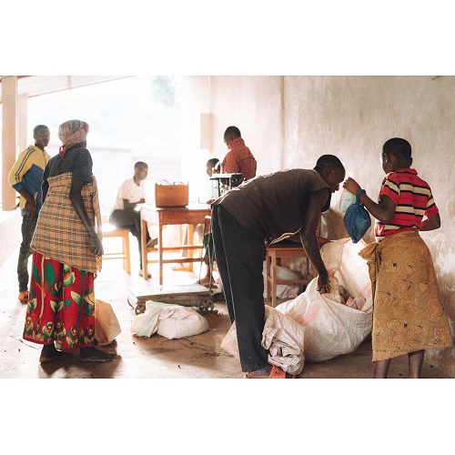 Specialty coffee from Burundi - Kanyiya Hill - Cafe Gourmet