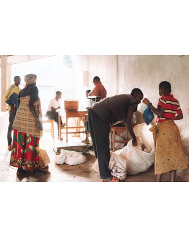 Specialty coffee from Burundi - Kanyiya Hill - Cafe Gourmet