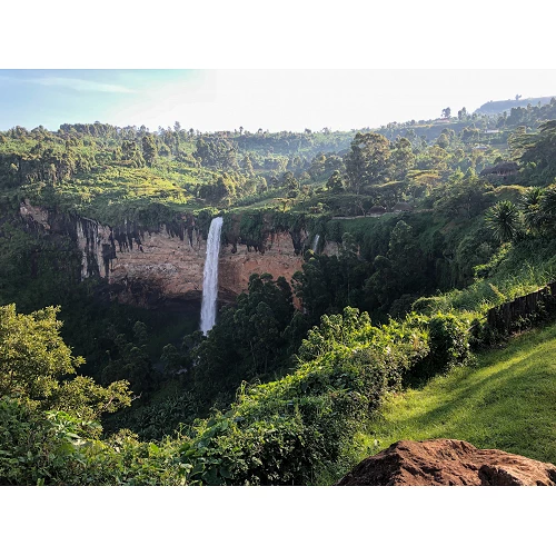 Café de especialidad Sironko - Uganda - Café Gourmet