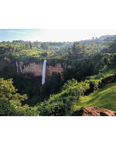 Specialty coffee from Guatemala Los Manantiales - Café Gourmet