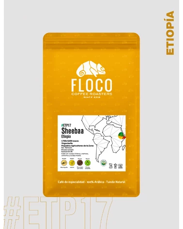Café de especialidad de Etiopía - Goititi - Floco Coffee