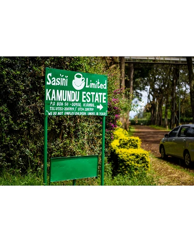 Café de especialidad Kamundu - Kenya - Atmans Coffee - Café Gourmet