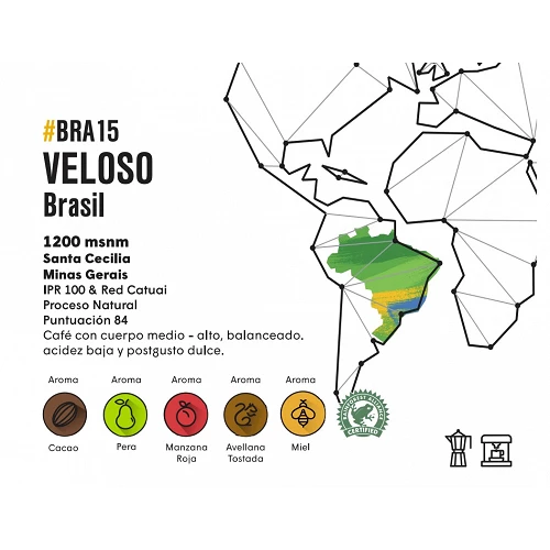 Café de especialidad de Brasil, los montes, Floco - Café Gourmet