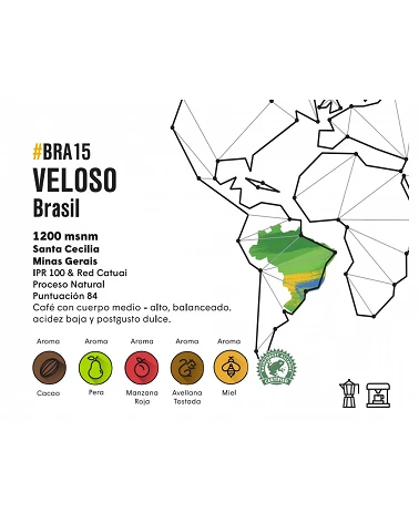 Café de especialidad de Brasil, los montes, Floco - Café Gourmet