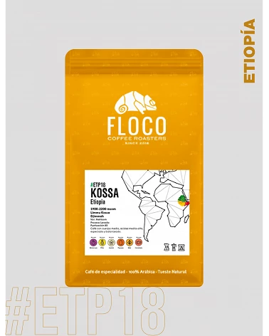 Café de especialidad de Etiopía - Goititi - Floco Coffee
