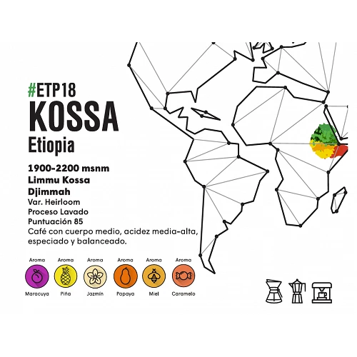 Café de especialidad de Etiopía - Goititi - Floco Coffee