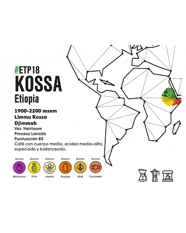 Café de especialidad de Etiopía - Goititi - Floco Coffee