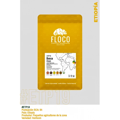 Specialty coffee from Ethiopia - GOITITI - Floco Coffee