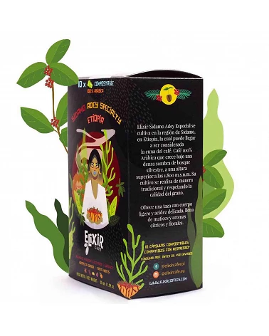 Ethiopia  coffee Capsules - 100% compostable Nespresso compatible - Cafe Gourmet