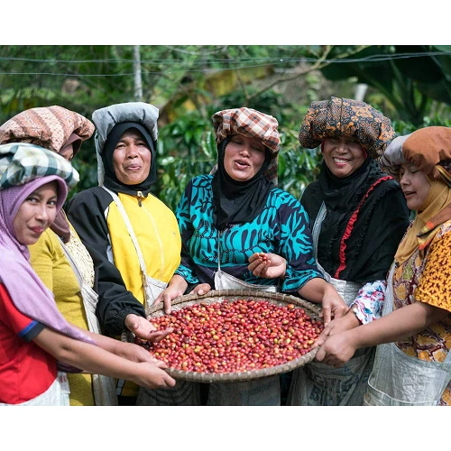 Cápsulas - Sumatra, Cooperativa de Mujeres Ketiara