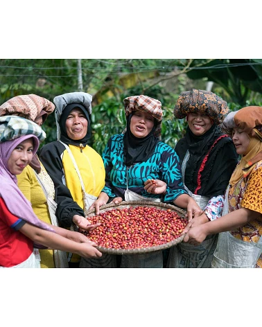 10 Cápsulas - Sumatra, Cooperativa de Mujeres Ketiara - Café Gourmet