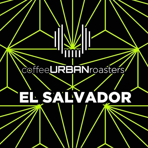 Specialty coffee El Salvador - Vega Epi - Coffe Urban Roaster - Cafe Gourmet