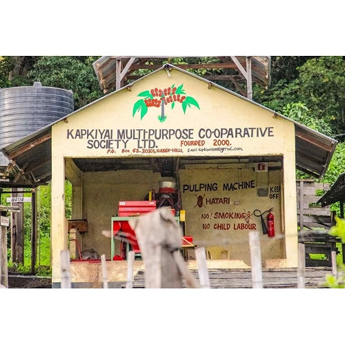 Kapkiyai- Kenya